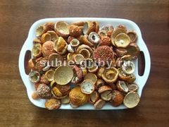 Мухомор красный сушеный (нераскрытые шляпки) купить